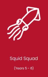 Kapow squid squad